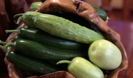 网红最新吃瓜爆料